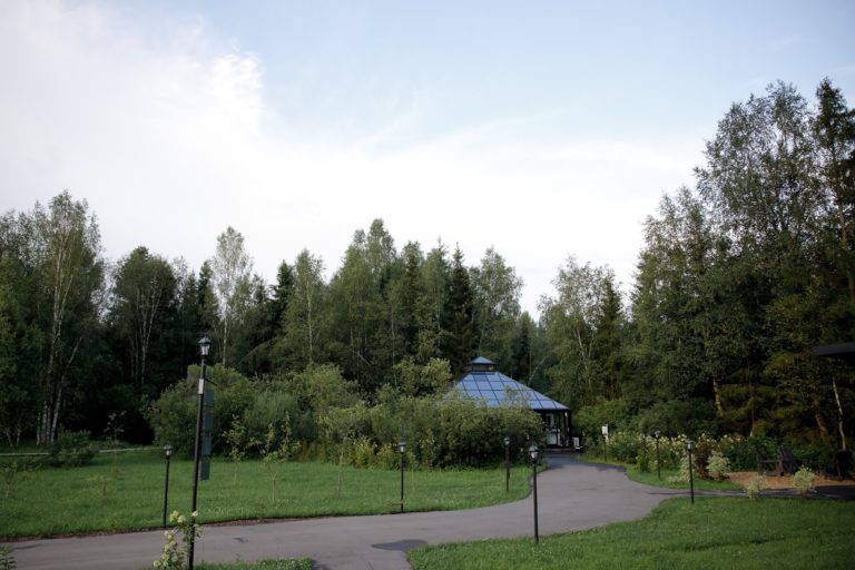 Площадка для мероприятия: Территория